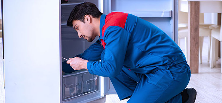 Freezer Repair Services in Cambridge